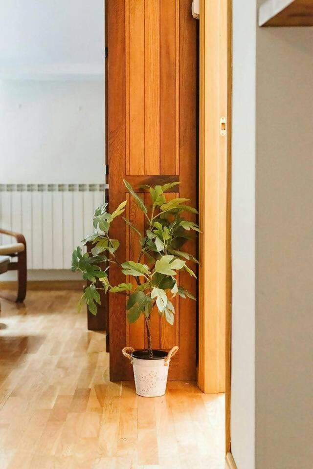 Appartement Casa Begona - Wifi Sencillo Y Acogedor à Sallent de Gállego Extérieur photo
